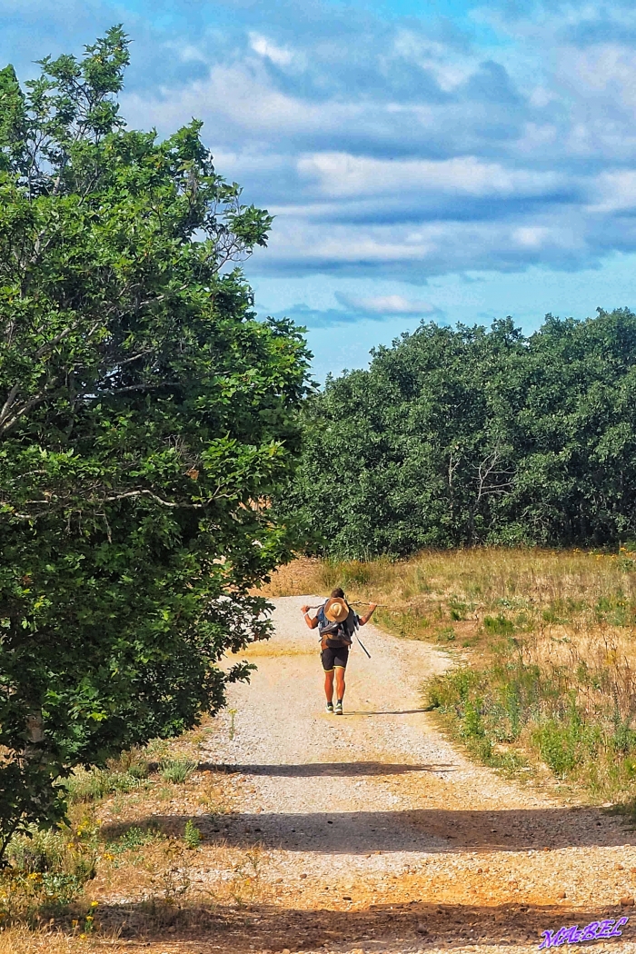 El #CaminodeSantiago es una experiencia única y transformadora. Pero, ¿es mejor hacerlo en solitario o con compañía? Te contamos las ventajas e inconvenientes de cada opción. bit.ly/35GSuAR