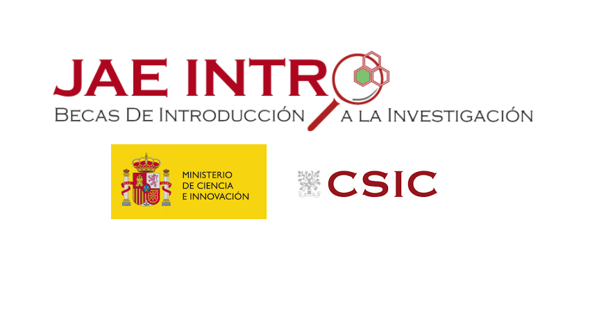 IdAB_CSIC's tweet photo. El Instituto de Agrobiotecnología @IdAB_CSIC oferta 5 becas JAE INTRO dirigidas a estudiantes de Grado que quieran iniciar su carrera investigadora en áreas relacionadas con la biotecnología, la sanidad o la agricultura sostenible. Puedes solicitarla hasta el 7 de noviembre. https://t.co/6rA9MsteR1