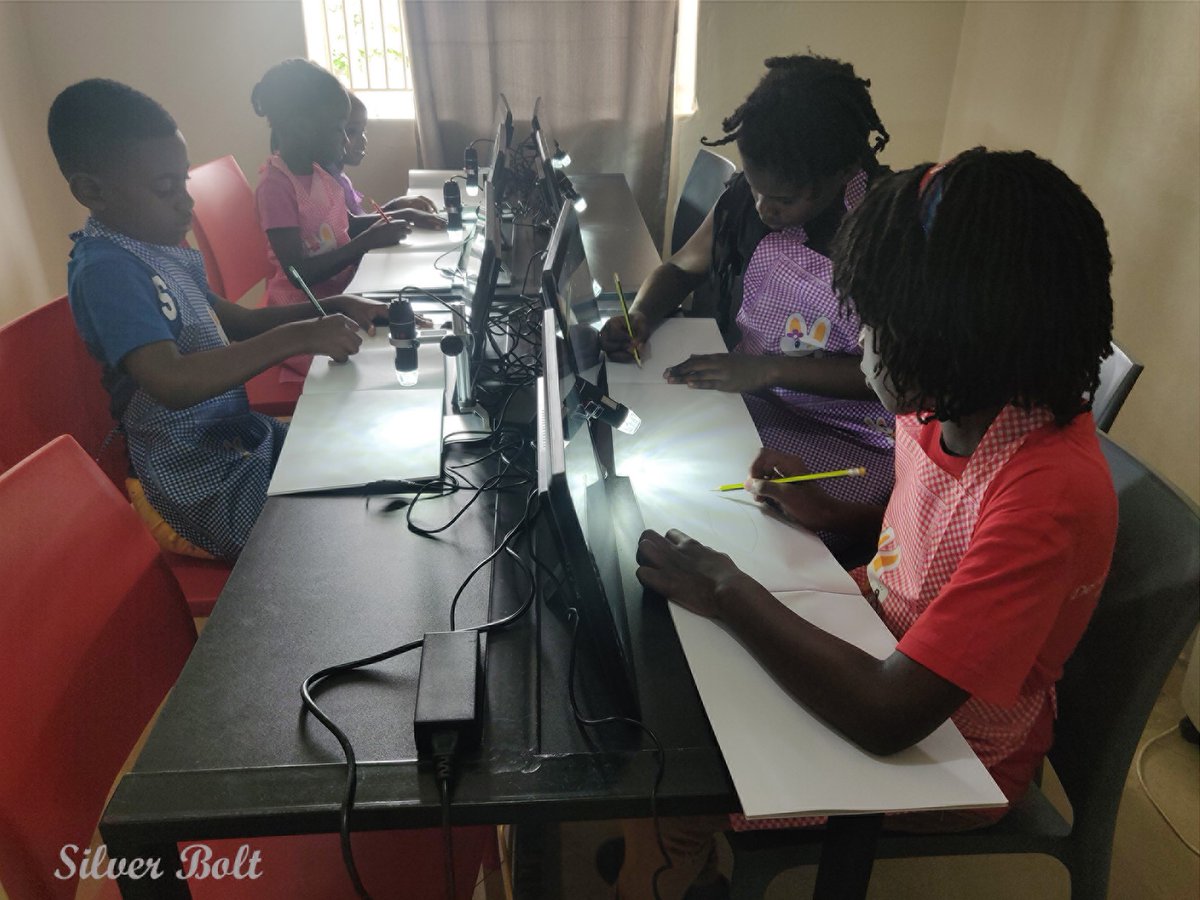 SilverBoltUG's tweet photo. It is vital to provide learners with problem-solving, project-management, analytical, and creative thinking skills that the modern world demands. Our sessions expose learners to relevant schemata, allowing them to reach a viable level of cognitive balance in these domains. https://t.co/IMkFL5dK1D