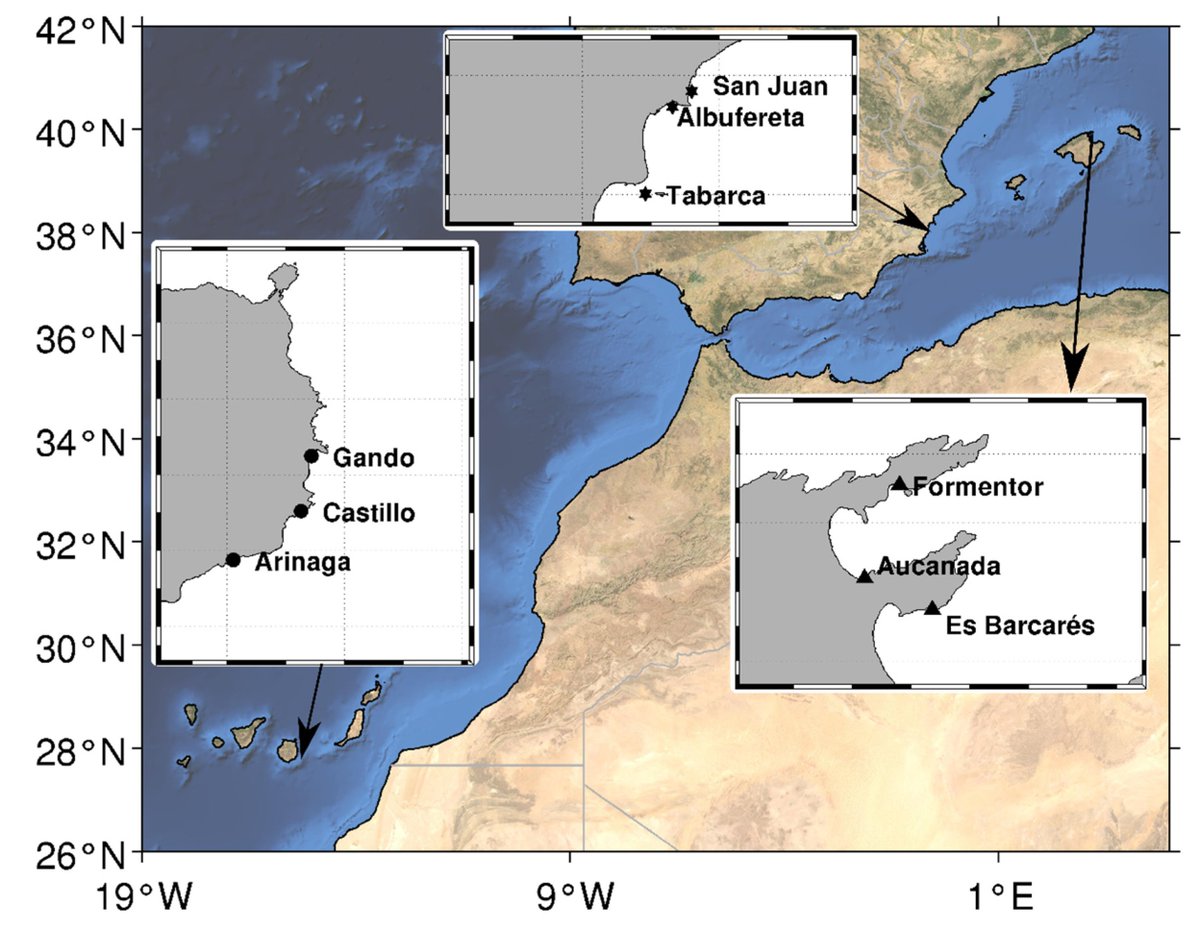 #DiversityMDPI, New publication "Variation in #Fish Abundance, Diversity and Assemblage Structure in #Seagrass Meadows across the Atlanto-Mediterranean Province" at the link: mdpi.com/1424-2818/14/1…