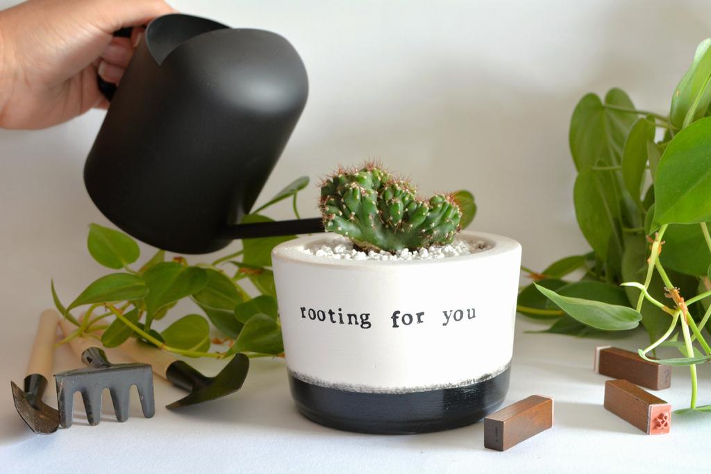 CrisL_writer's tweet image. Thanks for the kind words! ★★★★★ "Great quality and fast delivery" Sarah #etsy #indoorplant #officedeskdecor #friendshipgifting #meaningfulpresents etsy.me/3SZNfo4