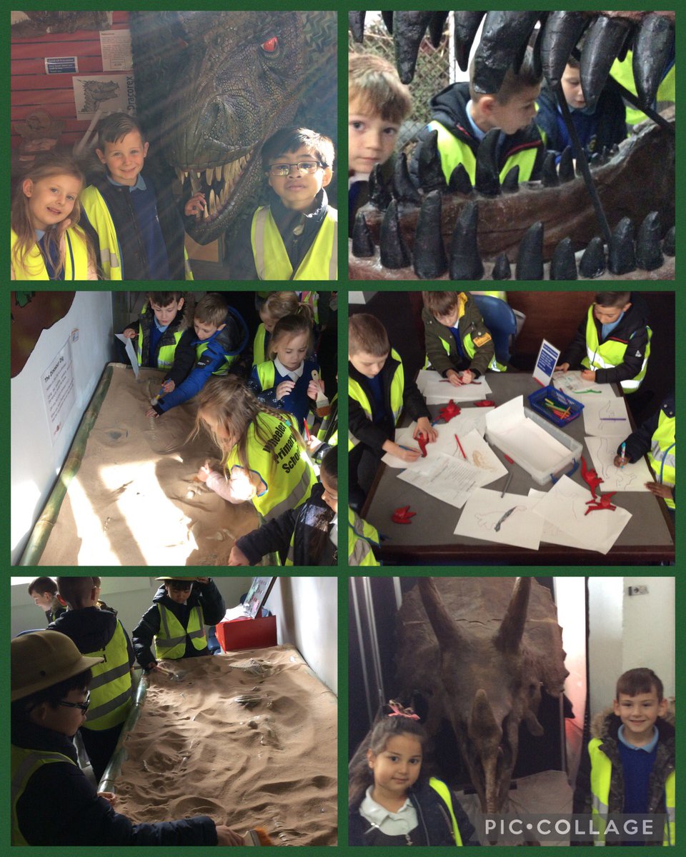 Wheeler_PS's tweet photo. π¦ There was so much to see and do, we had a great time! Thank you for having us @DinostarHull π¦ #wheelercurriculum https://t.co/Ua24IijtSp