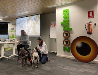 zooplus Tech Madrid tweet media