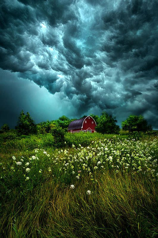 EugeneBu1944's tweet photo. Storm 😅
#NFTCommuntiy https://t.co/Krhjy6voim