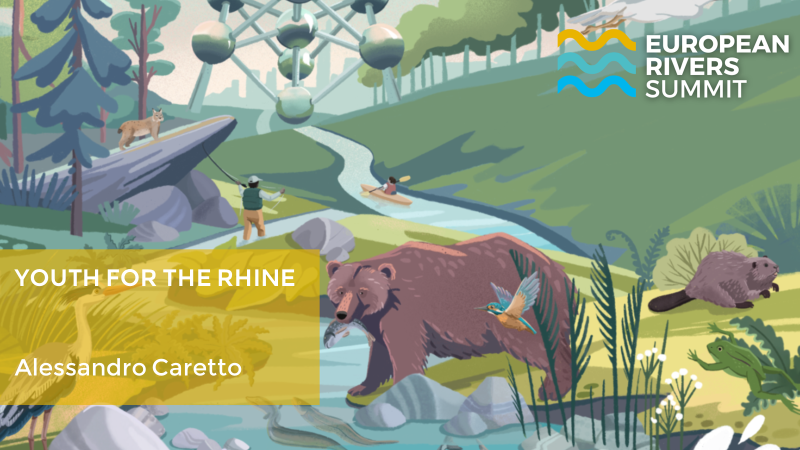 Youth for the Rhine tweet media