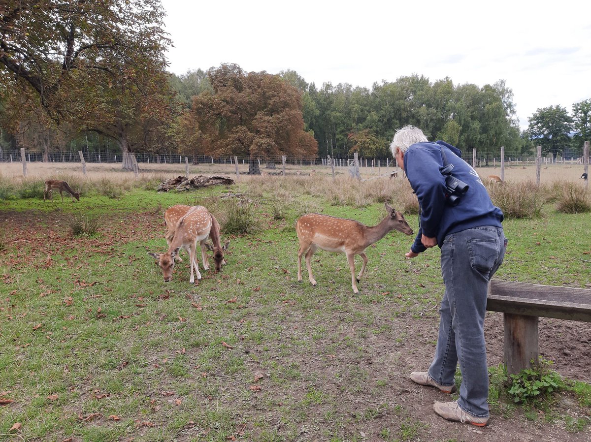 Primatologue's tweet photo. Wonderfull day a Sababurg Zoo to watch the current available wildlife in Europe https://t.co/gYWWeFiMs4