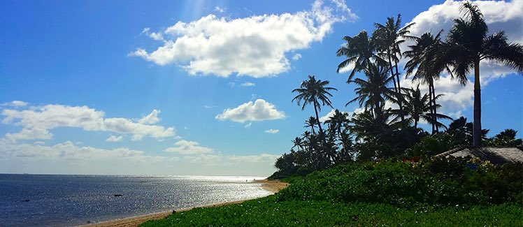 ASE’s Echo Hawaii course on the Big Island Jan 16-20, 2023 is open for registration. A special mix of cutting edge CV imaging, must-see cases, and collegial interaction w @ASE360 premier educators, in a beautiful setting. Aloha and hope to see you here!