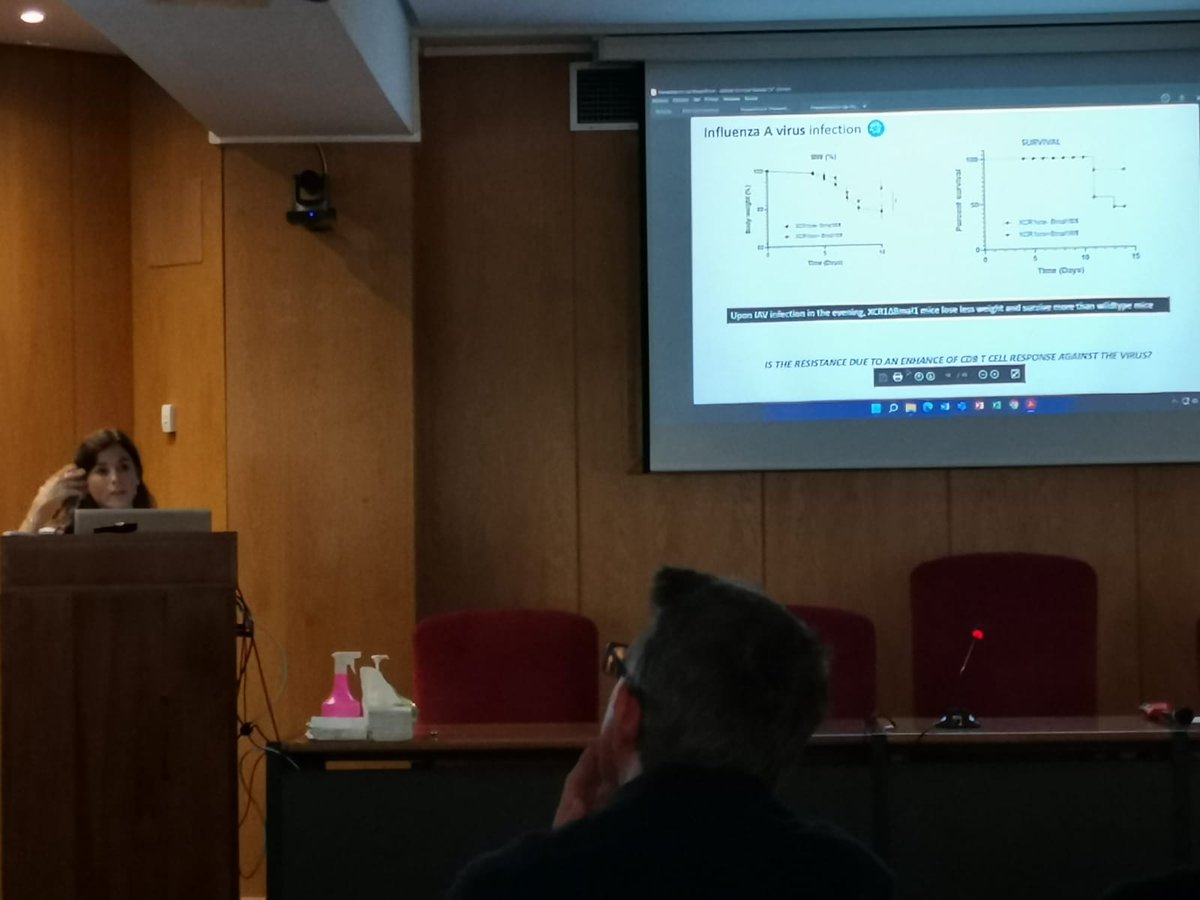 Salva Iborra tweet media