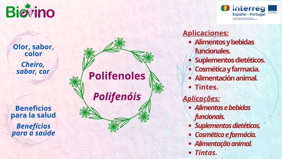 Proyecto Biovino tweet media