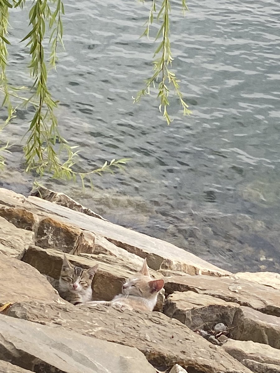 Seninle şöyle olabilirdik