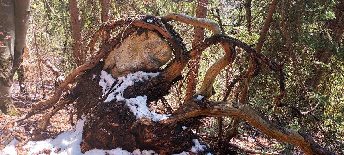 The roots of addiction
Reasons People Get Addicted to Sex and Porn - Part 3 - Lifetraps; How We See Ourselves In The World

esteemtherapyyorks.co.uk/post/reasons-p…