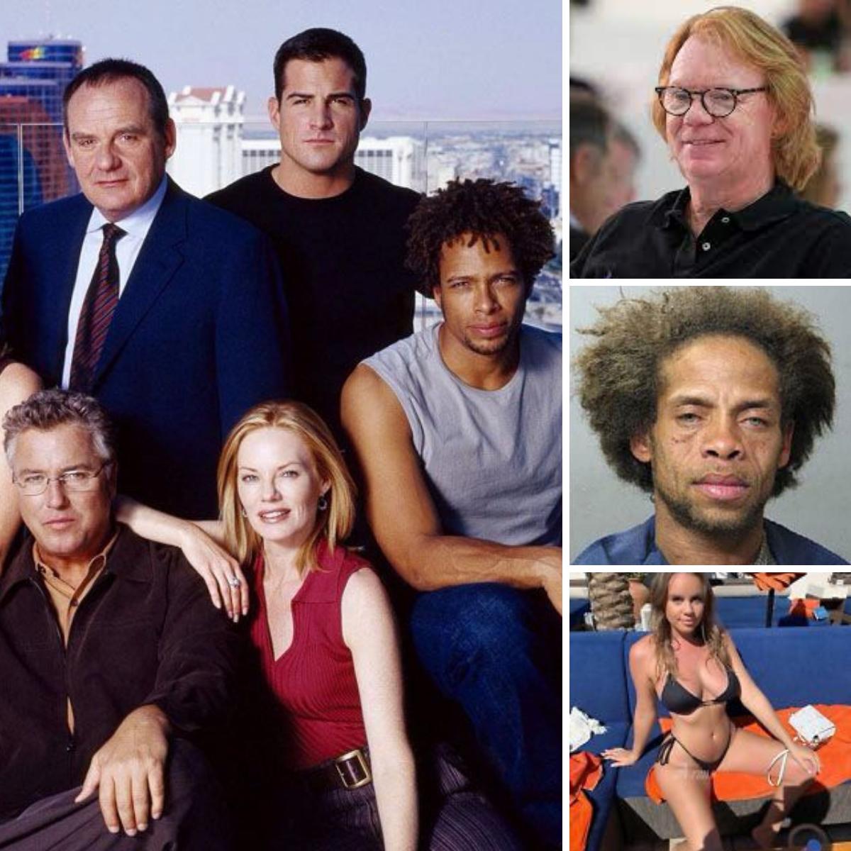 LifestyleA2Z on Twitter "CSI Cast Here's Where They Are Now (No.17 is