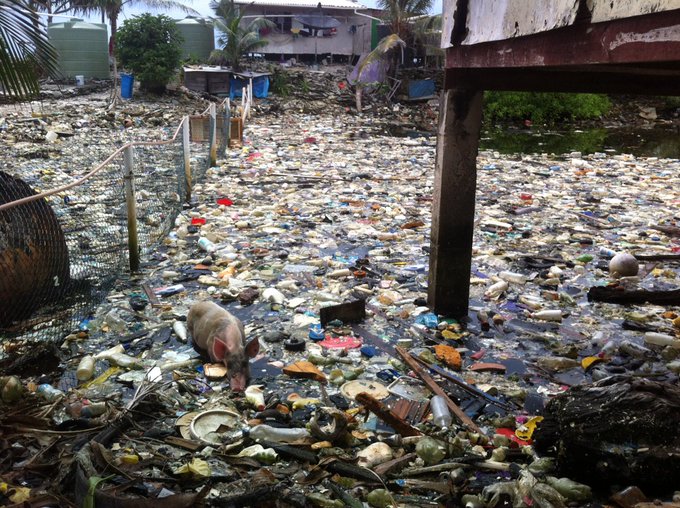 I remain resolute that young people have an obligation to contribute to public service, think of innovations and create positive change in our environment!

We cannot continue like this.