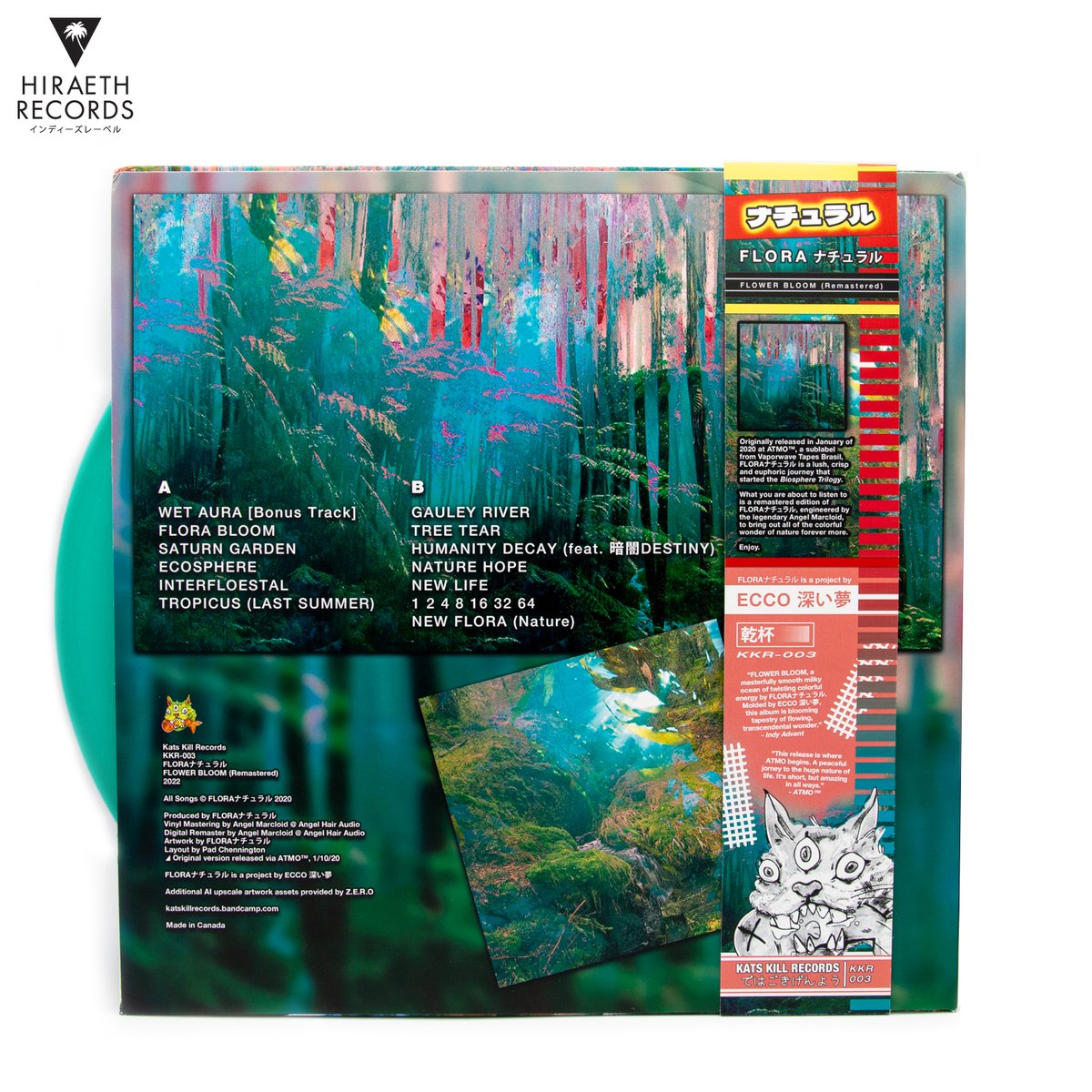 Hiraeth Records tweet media