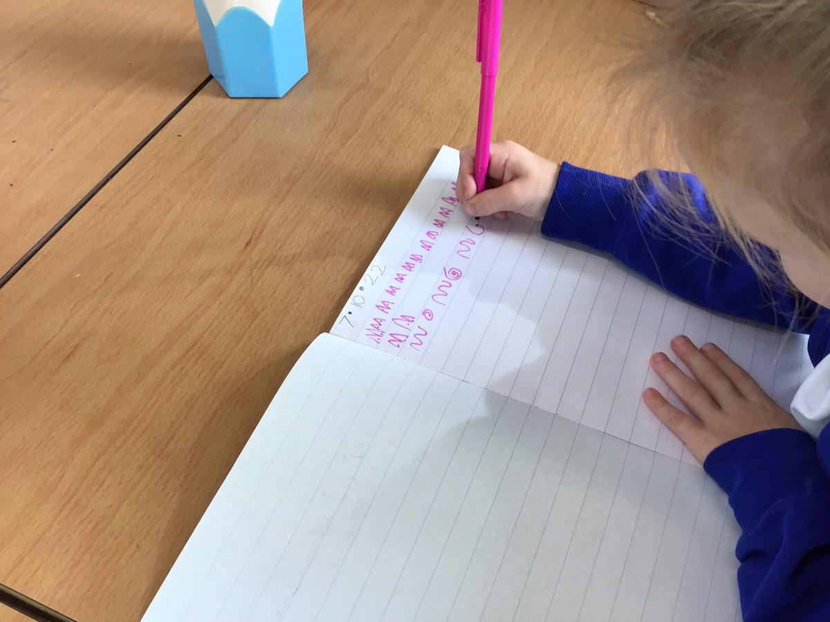 Meerkats Class Sidlesham Primary School tweet media