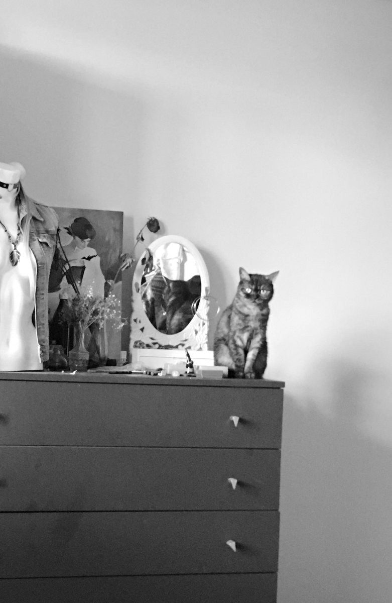 mell 𓆙 tweet media