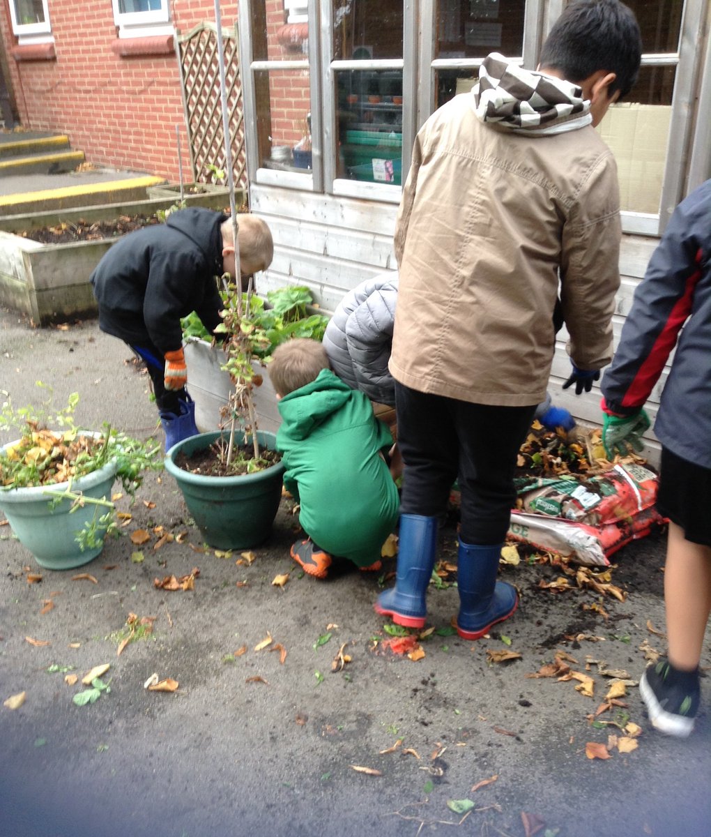FlanshawJIN's tweet photo. In gardening club this week we finished weeding and tidying the raised garden beds and pots. We are officially ready for winter now! π₯Ά #activeants https://t.co/4aNFu6itZ9