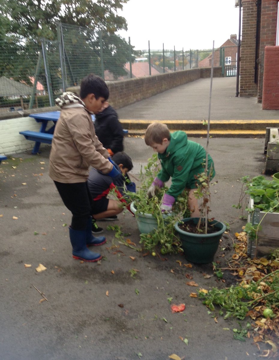 FlanshawJIN's tweet photo. In gardening club this week we finished weeding and tidying the raised garden beds and pots. We are officially ready for winter now! π₯Ά #activeants https://t.co/4aNFu6itZ9