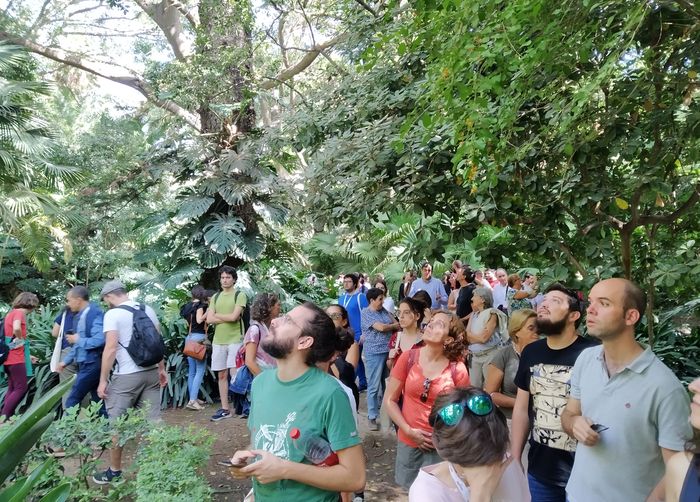 Jardín Botánico La Concepción Málaga tweet media