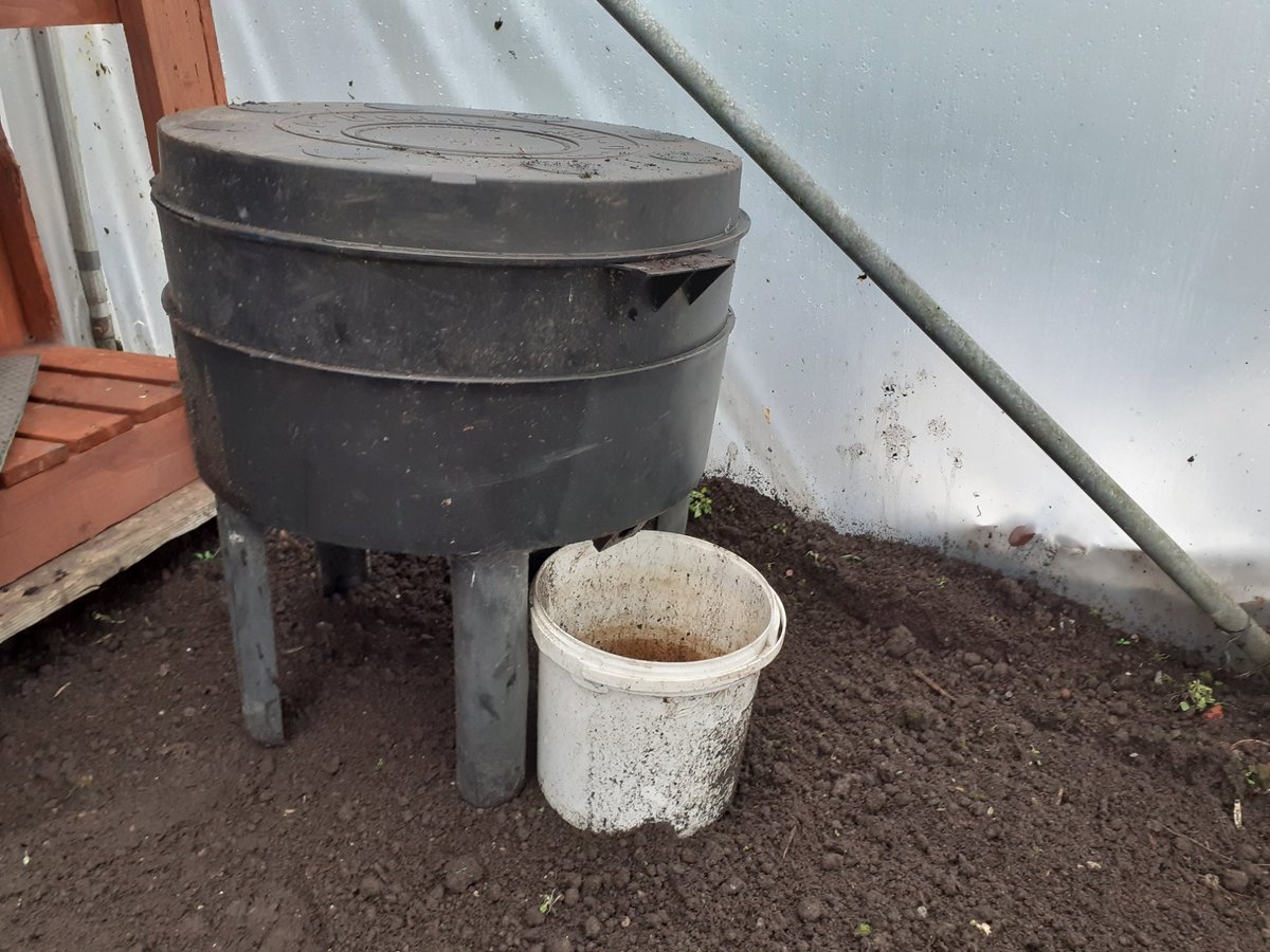GardenSacro's tweet photo. We rigged up another wormery in our gardening site at Bellahouston Demonstration Garden and learnt about what kitchen scraps to feed them! We'll collect worm 'tea' to use as a potent plant fertiliser! #wormeries #wormtea #composting #growyourown @ScotAllotments @SacroGlasgow https://t.co/PgO1LbjUwK