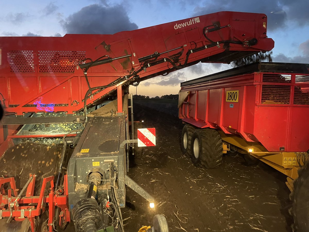 Patrickackeren's tweet image. Mooie omstandigheden om het laatste pootgoed te rooien💪🏻💪🏻 #Stetholland #akker