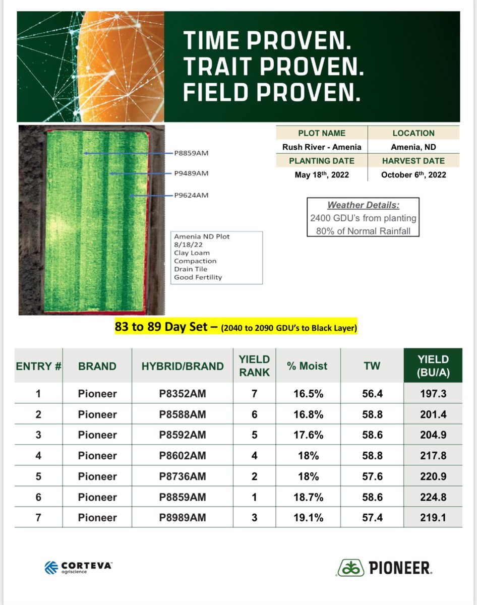 jesse moch tweet media