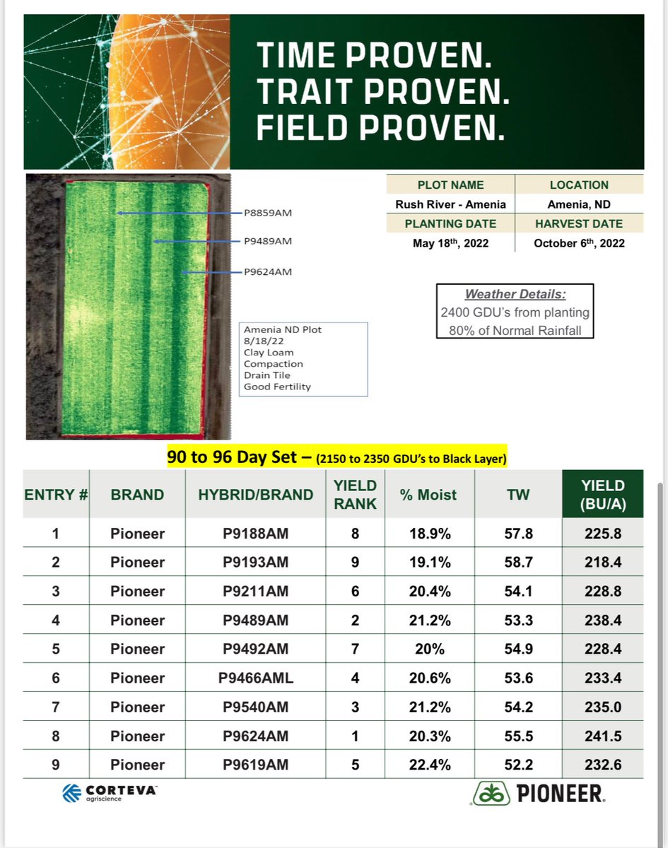 jesse moch tweet media