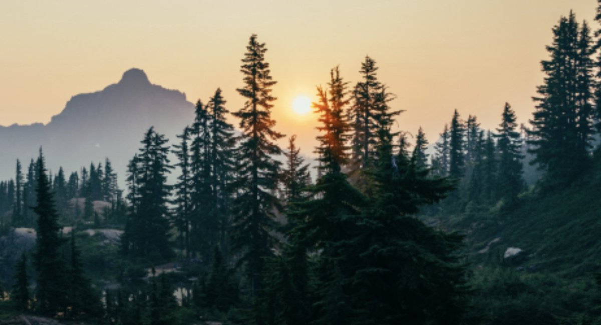 .<a href="/CollectiveCrnch/">CollectiveCrunch</a> Co-Founder and Co-CEO Rolf Schmitz has penned an article in <a href="/Timber_Media/">Timber Media Ltd</a> on why digitizing the world’s #forests is the key to fighting #climatechange. It's incredible working with companies using innovative #tech to make a difference!
timbermedia.co.uk/data-the-three…