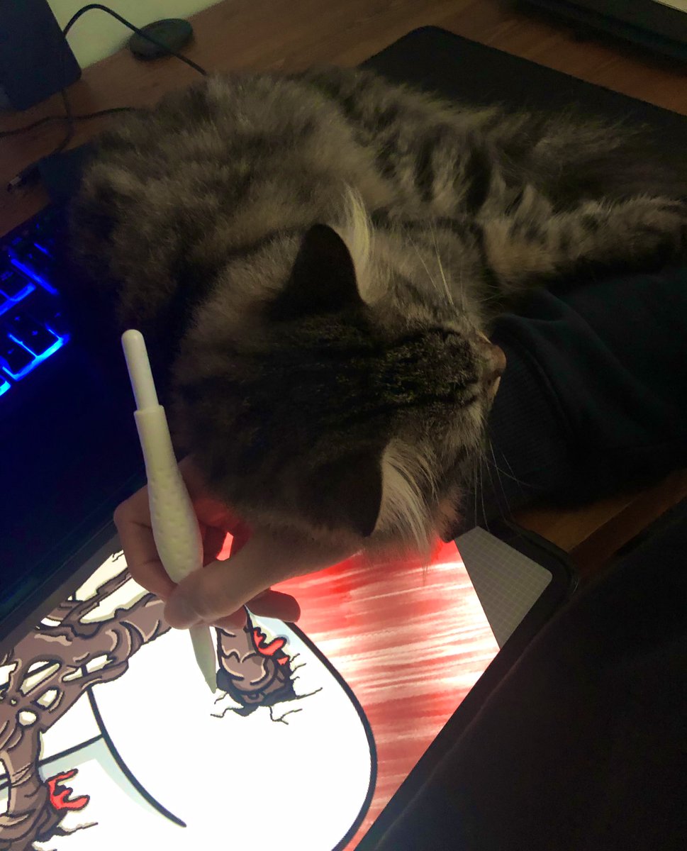 Thats’s enough sleep for today 😴