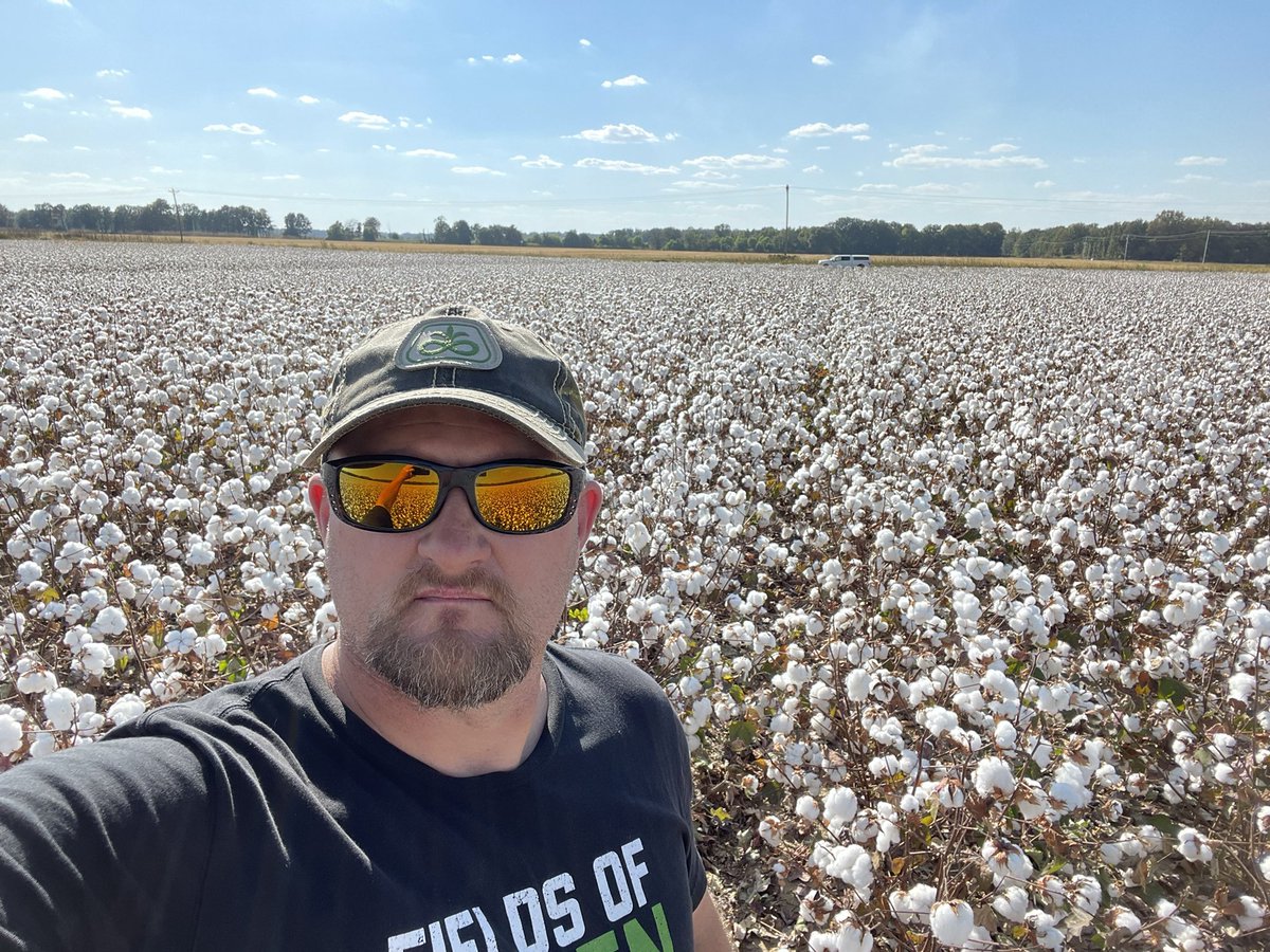 JasonRudick's tweet photo. PHY41W3FE is looking awesome this year getting a lot of really good calls about it and I see why. https://t.co/EiBIafMjPD