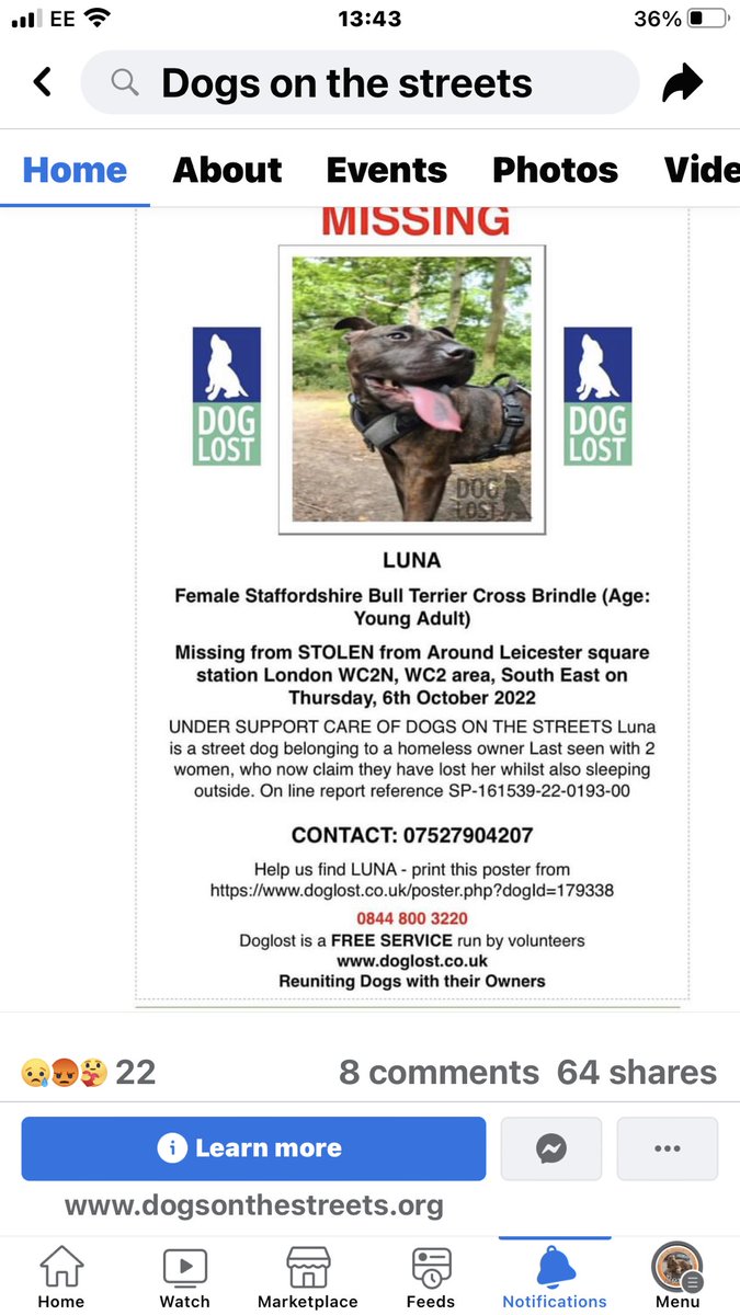 JacquiSaid's tweet photo. Please letβs #FindLuna one of the @dotslondon clients . πππππππππ#Londondogs #londoncommuters #LeicesterSquare #Wc2 area . #Staffie @MPSWestminster @BTP @dotslondon @MissingPetsGB @thedogfinder @JaneFallon @RPD2025STELLA @RachaelB100 https://t.co/5IOr1TvEZK https://t.co/yjr8lgNhJr