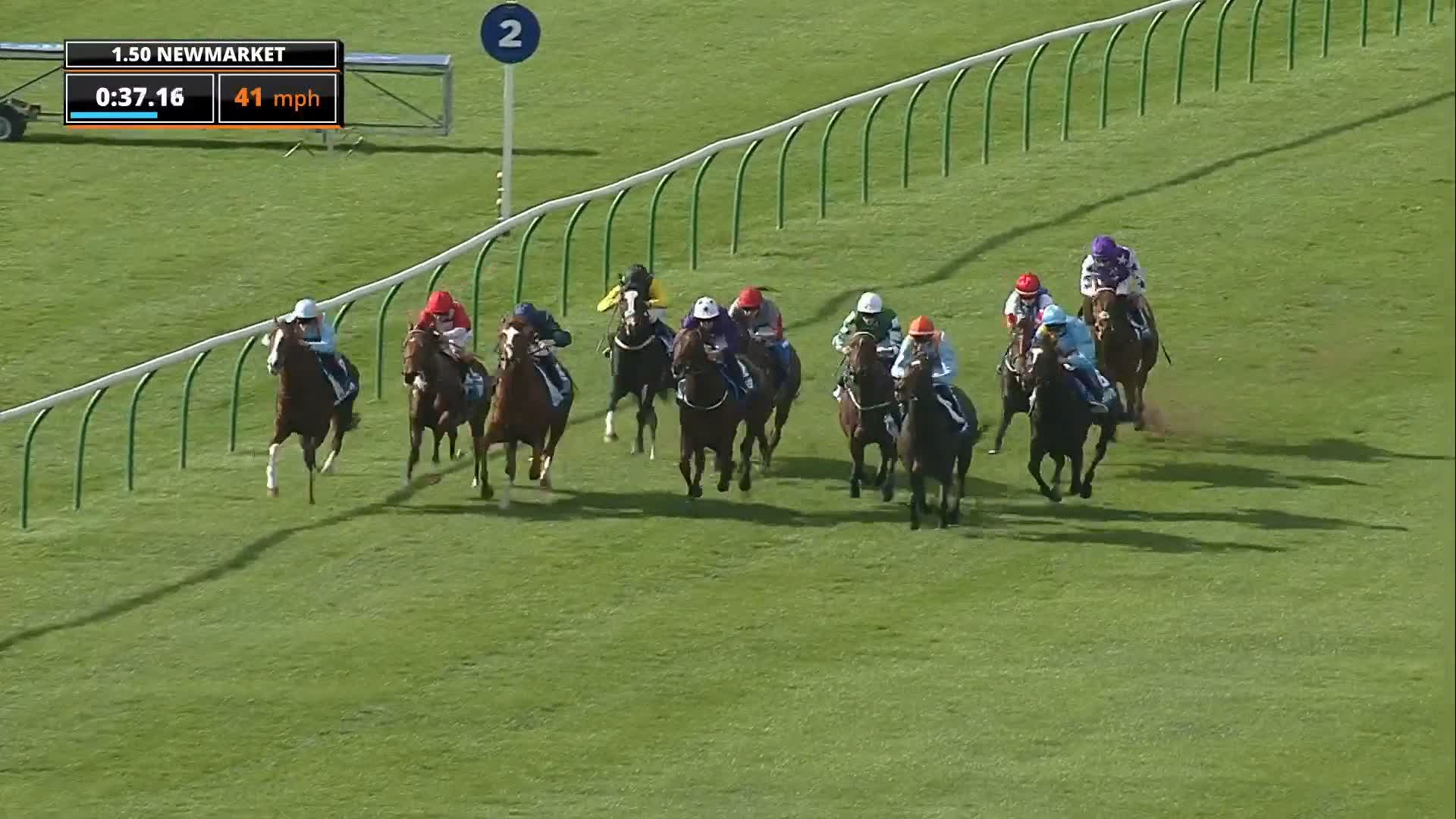 Bath Racecourse (BathRacecourse) / Twitter