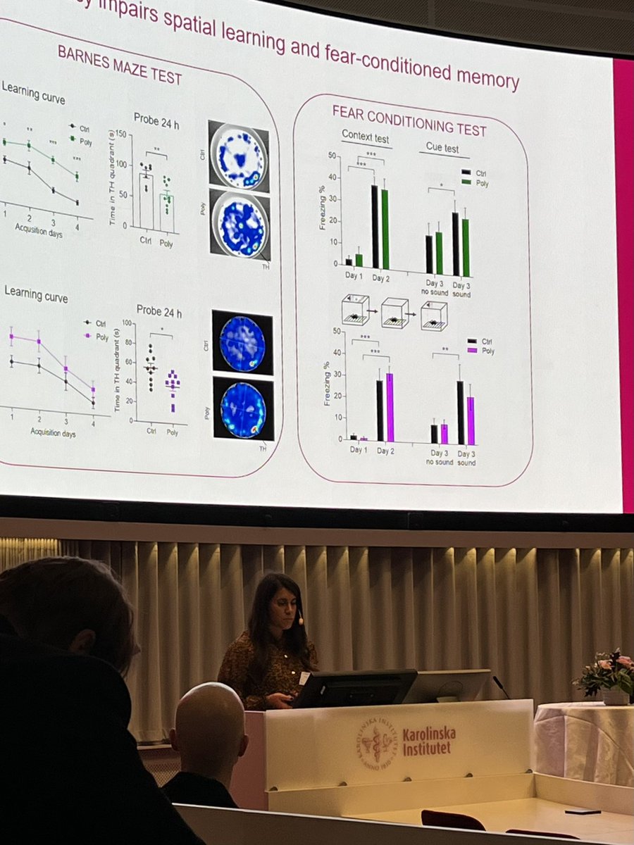 silvia_maioli's tweet photo. And there she is! @francesca_eroli finally on Twitter got awarded for best oral presentation at the Collaboration in science conference @karolinskainst. So truly deserved 🤩! Francesca presented her hard work and data on mouse models of polypharmacy and sex differences. https://t.co/UC5DhcZil0