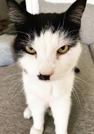 Mister Anderson tweet media