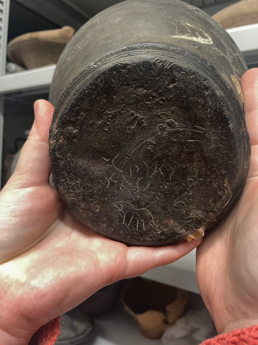 Dr! Adelle Bricking tweet media