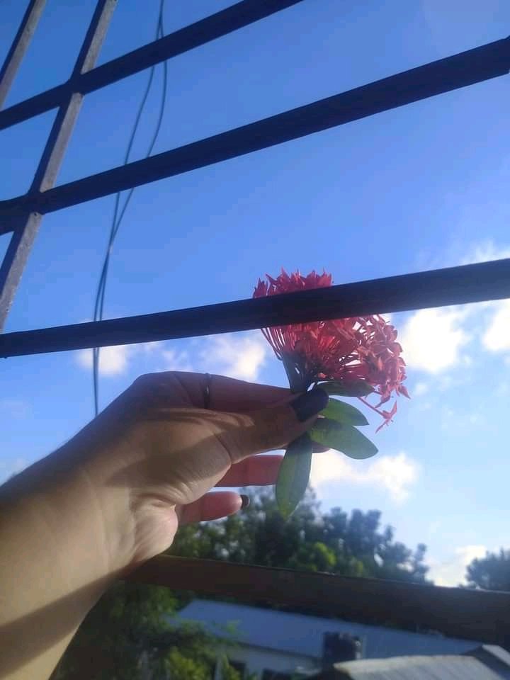 FarhadRaj400's tweet photo. 😘🥀 https://t.co/eE4dEJ4Nkk