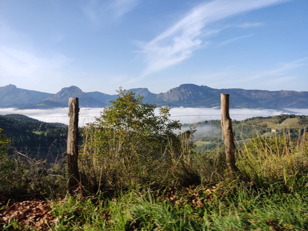 AutoEscCimarro's tweet photo. Feliz viernes!!!!!
Dar clase por el Duranguesado con estas vistas no tiene precio!!!!

#duranguesado
#clasespracticas 
#autoeskola
#autoescuela
#durangobizkaia
#paisajesqueenamoran
@AutoEscCimarro https://t.co/9Ov78Mj9Pa