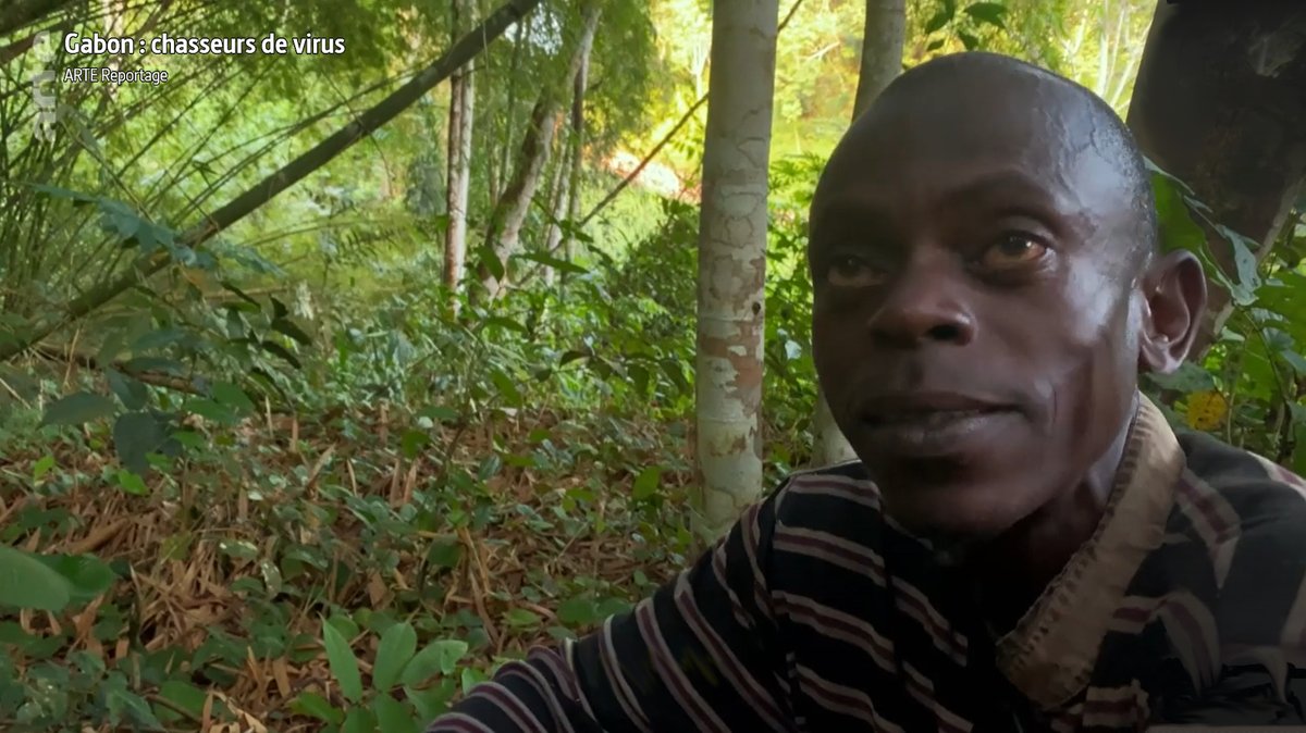 VanthommeH's tweet photo. Retrouvez le reportage ‘Gabon : chasseurs de virus’ sur #Arte qui présente les activités de surveillance des #Zoonoses du #SWM programme au #Gabon avec nos partenaires du #CIRMF et de l’#IRET. Plus d’information sur : https://t.co/H0JHdoZdtp. https://t.co/ZYopr9UCmm