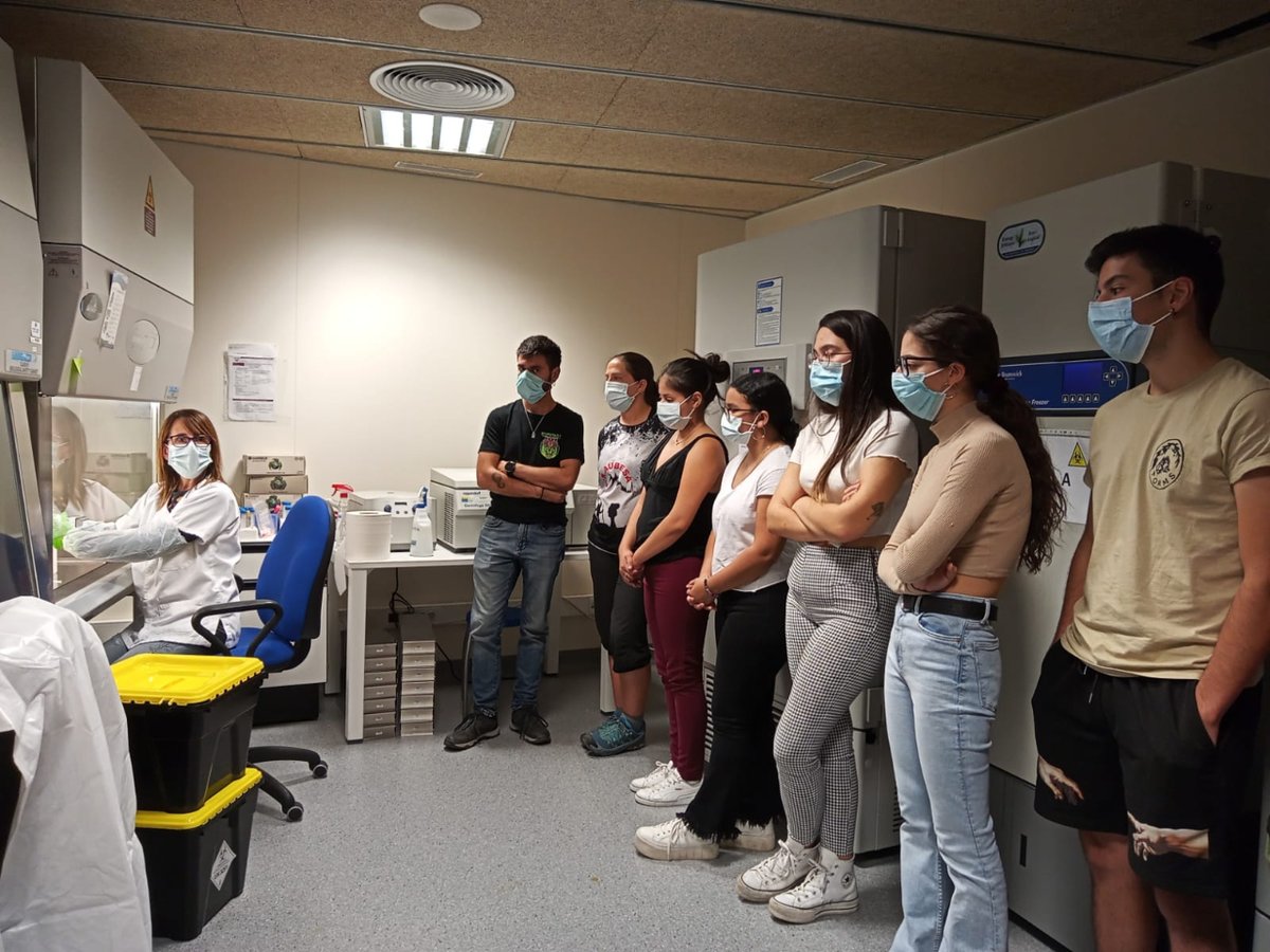 ➡️ Ahir l'alumnat del curs d’especialització en cultius cel·lulars per tècnics superiors de laboratori clínic i anatomia patològica del <a href="/TorreVicens/">Institut Torre Vicens</a> va conèixer el #Biobanc #IRBLleida.

➡️Treballem per donar a conèixer l'#IRBLleida i la importància de la recerca biomèdica.