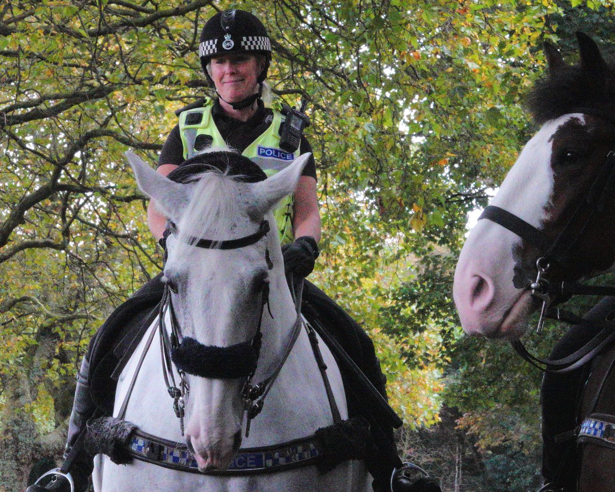 KaptainCosgrove's tweet photo. " The Thin Blue Line...(out &amp; about)..."
@ILoveSeftonPark
@MerPolMounted 
@merseymountedpc
 #Silver #Beau https://t.co/CyJnNnXosU