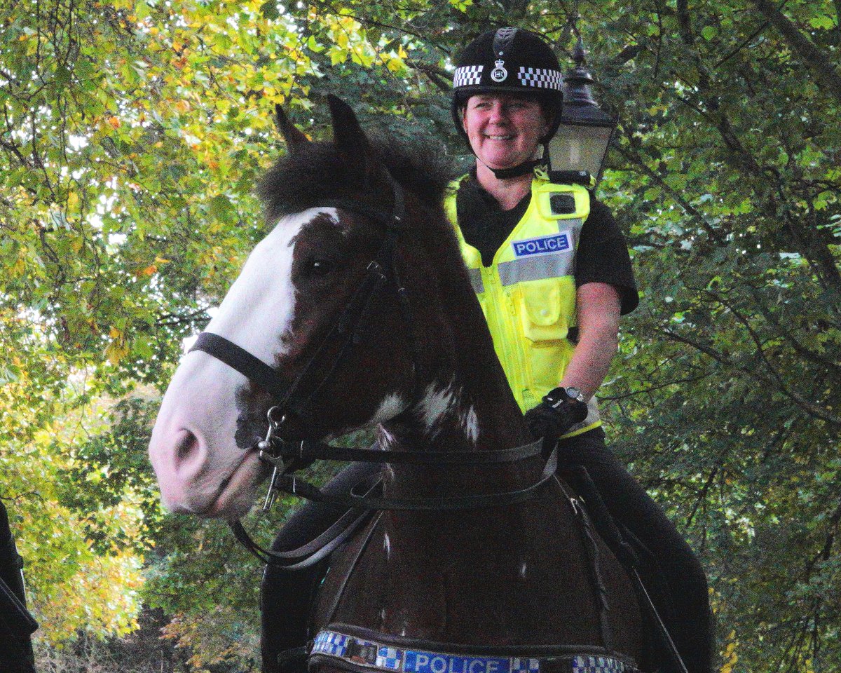 KaptainCosgrove's tweet photo. " The Thin Blue Line...(out &amp; about)..."
@ILoveSeftonPark
@MerPolMounted 
@merseymountedpc
 #Silver #Beau https://t.co/CyJnNnXosU