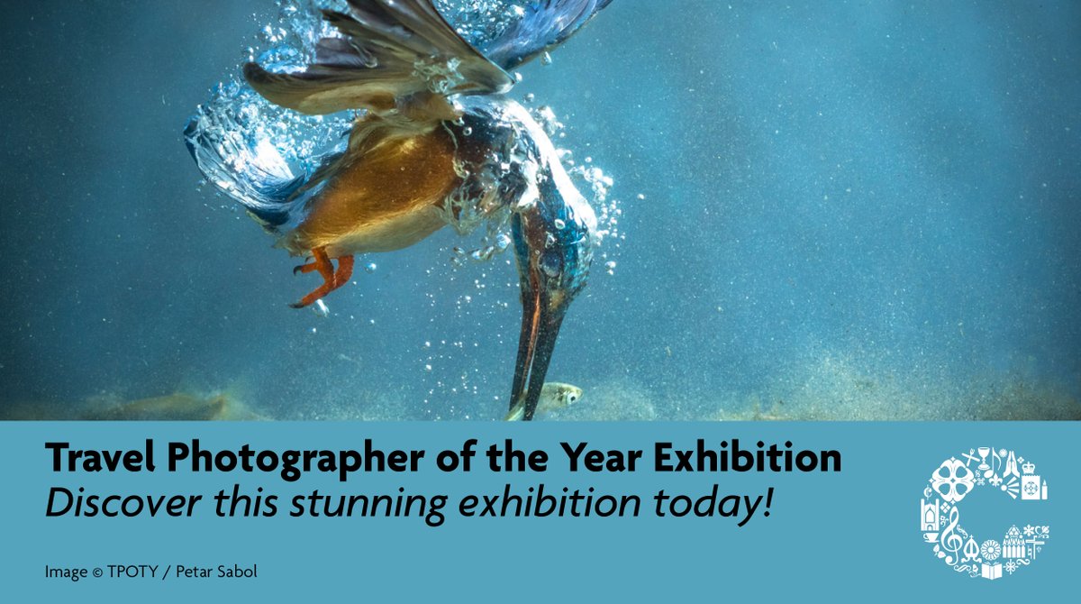 Our current exhibition is wowing everyone who discovers it... Pay us a visit today or over the weekend, vote for your favourite <a href="/TPOTY/">TPOTY</a> image, and let us know your favourite here.