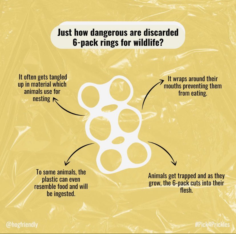 SwanHog's tweet photo. Litter is a huge problem, particularly for our urban animals! 

We will be holding some litter picks around our local park and residential areas soon to help reduce the risks of wildlife getting caught up in our litter. 

More details coming soon! #hfc #pick4prickles https://t.co/szA9DkTGqv