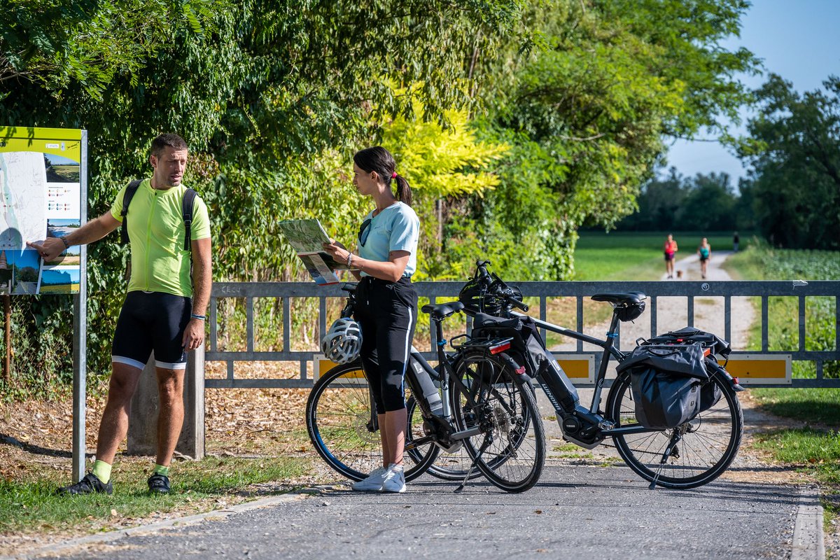 😎 Il weekend lascia l’auto a casa e prendi la bicicletta!
Per aiutarti a vivere al meglio questa magia autunnale ecco due itinerari alle porte di Udine:
🚲 bit.ly/ButtrioCornodi…
🚲 bit.ly/ColliOrientali

Le soluzioni per non spostare la macchina:
👉 bit.ly/TrasportiInter…