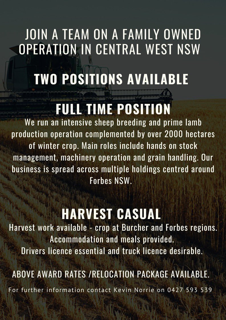 Liam Norrie tweet media