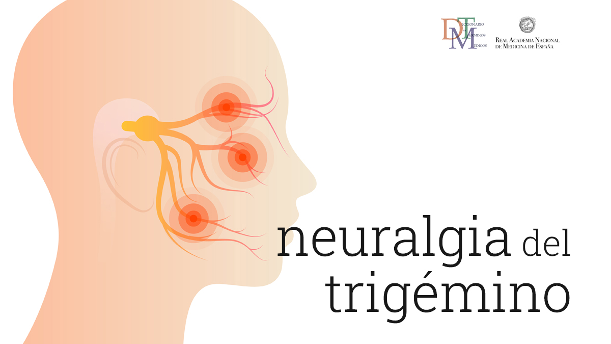 ranm_es's tweet image. ¿Conoces la #NeuralgiaDelTrigémino?

Causa dolor en el trayecto del nervio trigémino, quinto nervio craneal, que es el que conduce la mayor parte de la sensibilidad somática general de la cabeza #DiaInternacionalNeuralgiaTrigémino

Consúltala en el #DTM: bit.ly/neuralgiatrige…