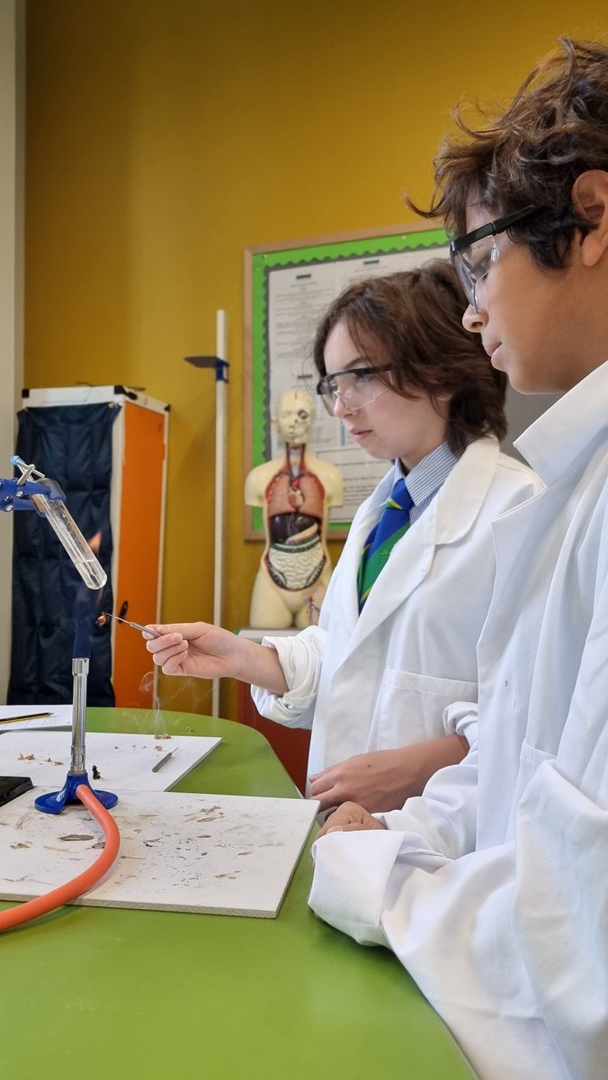 How much energy is in our food? @maidavaleyear8 discovered that #crisps had the most energy! <a href="/MaidaValeSci/">Science | Maida Vale School</a>