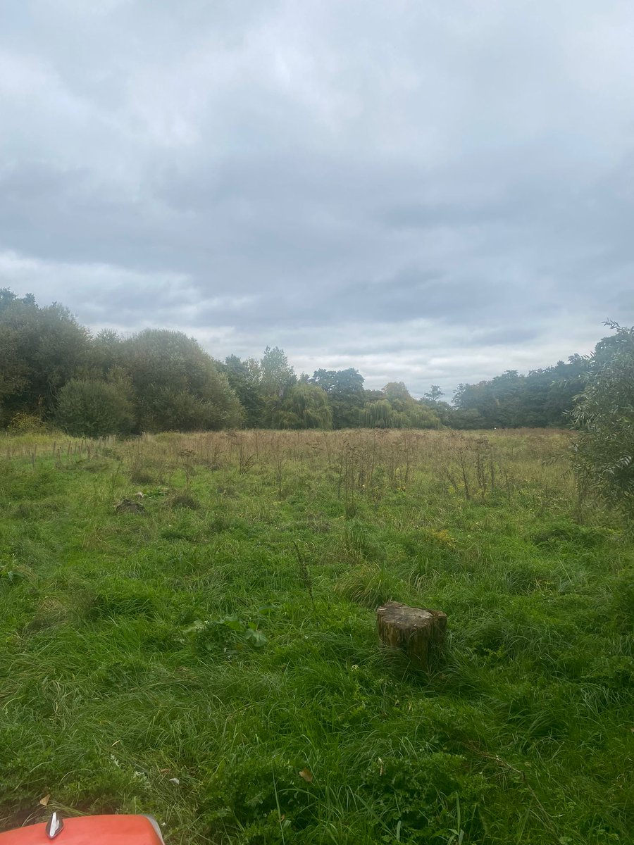 The Fen Group Ltd tweet media