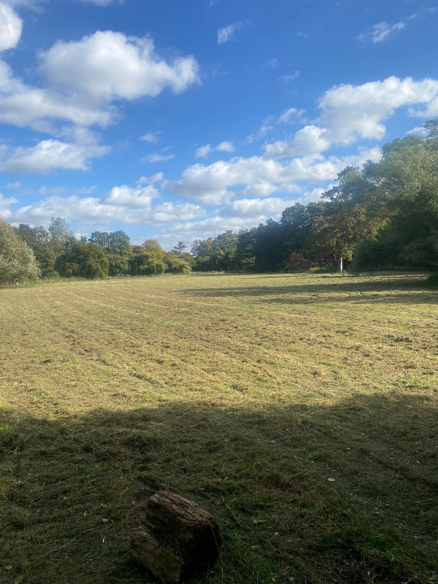 The Fen Group Ltd tweet media