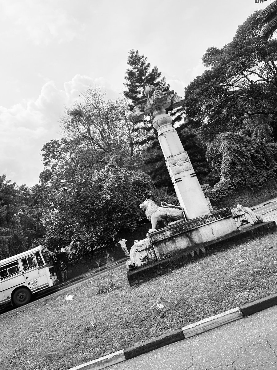 TharinduGun's tweet photo. Some died in this city 🍃🏳️ https://t.co/8dNtiFnmXm